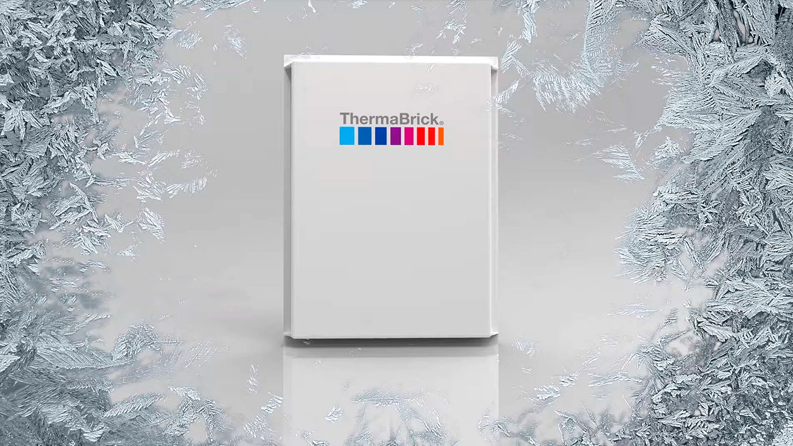 ThermaBrick package standing within a frosted frame.